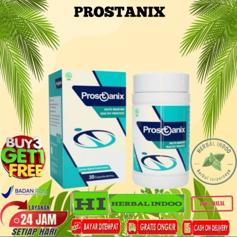 prostanix obat prostat herbal ampuh asli original BPOM