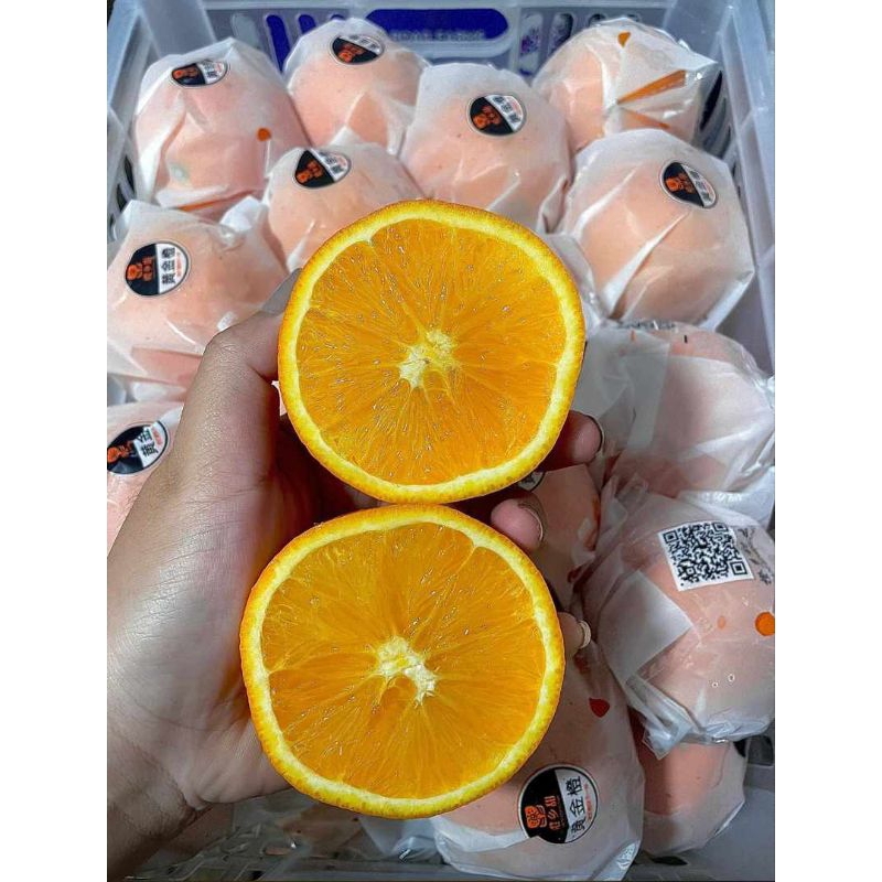 Jeruk Sunkist navel Madu RRC 1 keranjang