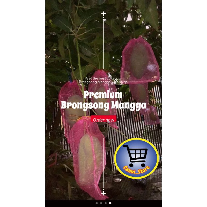 Brongsong mangga jambu(JMB)Bekas