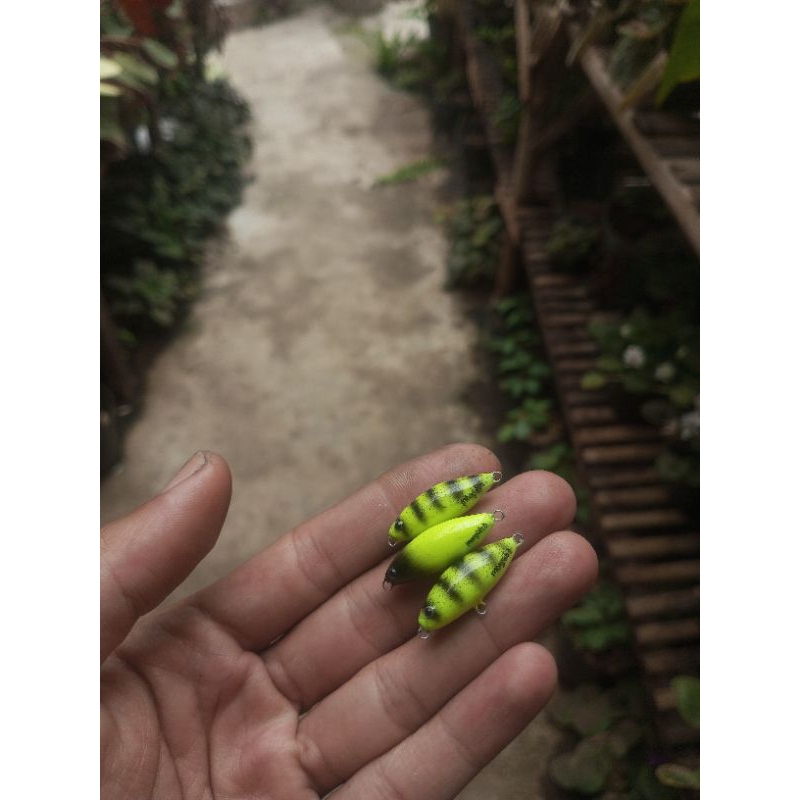 Mini WTD Handmade 3cm & 3,5cm NEW