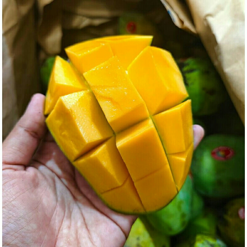 

mangga harum manis