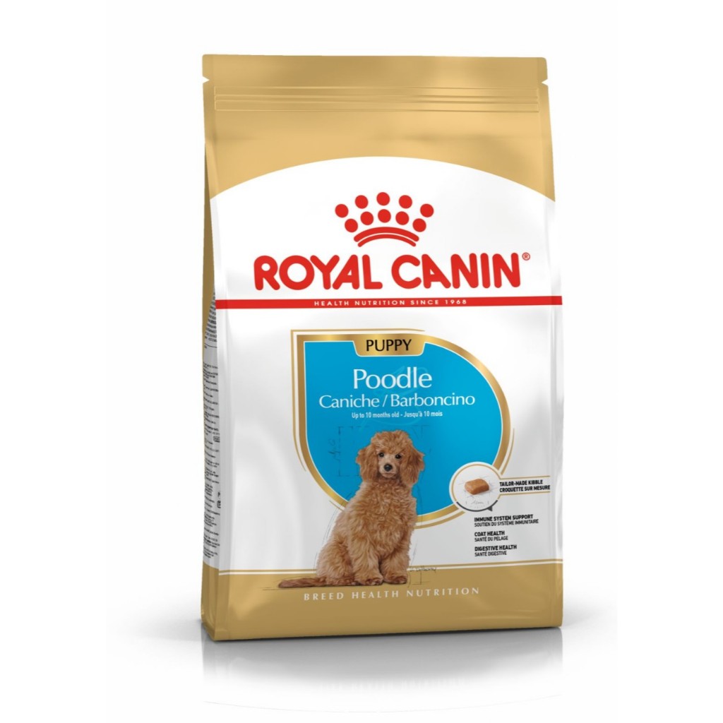 ROYAL CANIN DOG POODLE PUPPY // DRY FOOD
