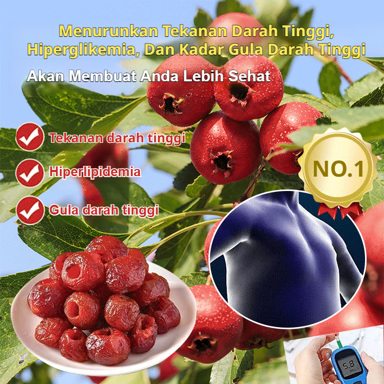 

[Reduce The Three Highs] Seedless Hollow Hawthorn Seedless Hawthorn Preserved Fruit/Camilan Manisan Buah Segar/Paket Individu Buah Dingin Hawthorn/Buah Merah Asam Dan Manis/Gula Darah Tinggi, Lemak Darah Tinggi, Tekanan Darah Tinggi