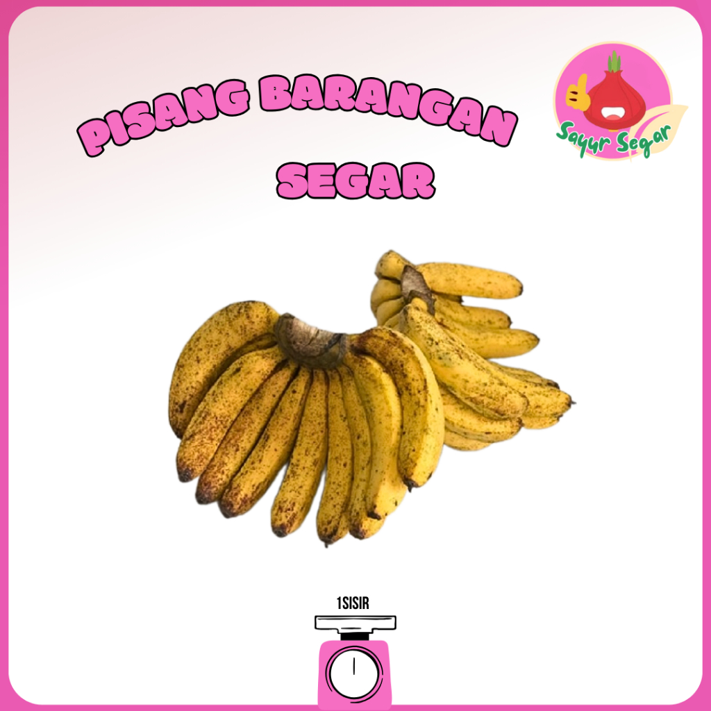

Sayur Segar - Pisang Barangan 1sisir / Barangan Banana