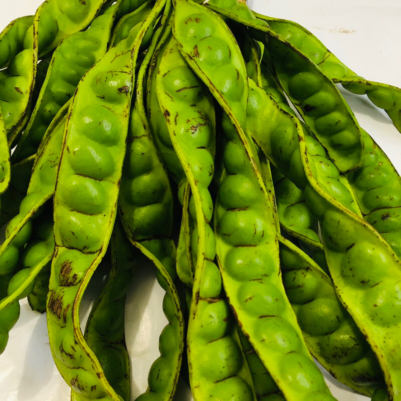 Petai Pete Tua Ukuran Sedang/Tanggung 1 Ikat [ 10 Papan ] - Pete Utuh Segar Good Quality