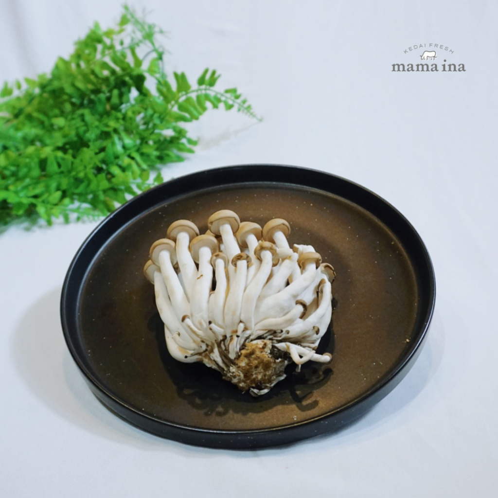 

Mao Xiong Jamur Shimeji Coklat 150g