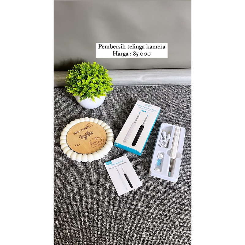 pembersih telinga kamera