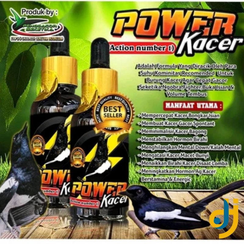 POWER KACER STRONG VITAMIN POWER KACER BMW PANGGACOR BURUNG KACER LOMBA DAN HARIAN