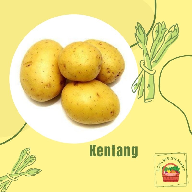 

KENTANG 250g (FRESH) - INSTANT SEMARANG