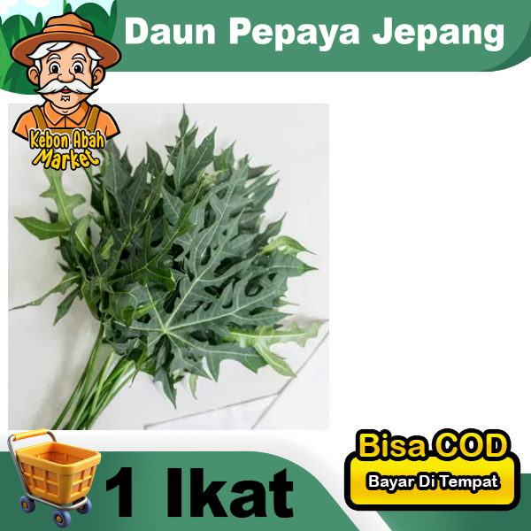 

Daun Pepaya Jepang ± 60 gram Obat Herbal Lalapan Rebus 1 Ikat Tangkai Daun