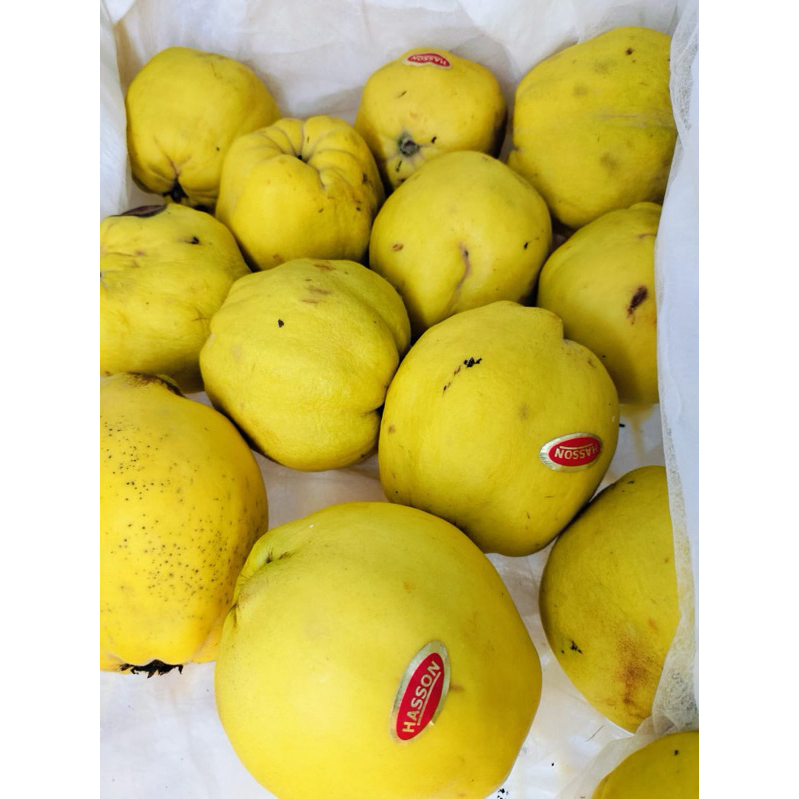 

buah safarjal/atau buan queen perbiji ukuran jumbo