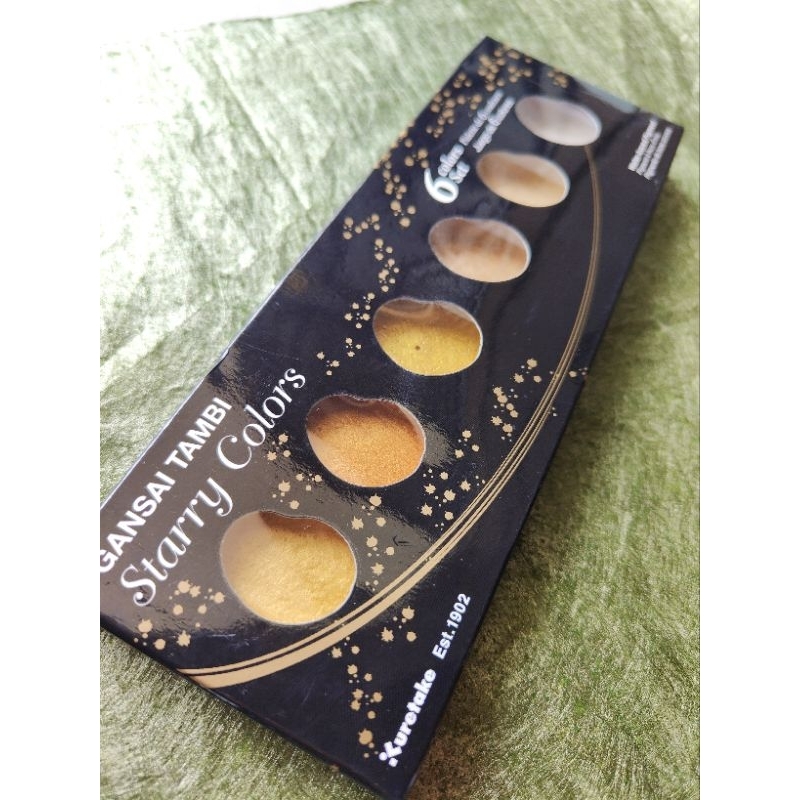 

Zig kuretake gansai tambi starry set | Preloved watercolor
