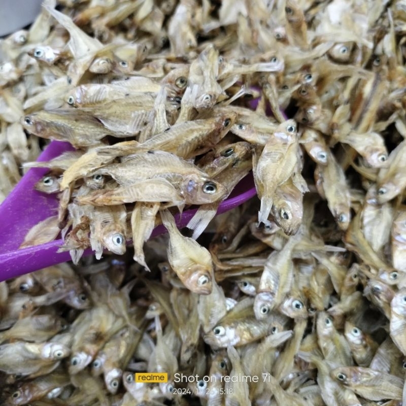 

Teri Baga 250gr Khas Kalimantan