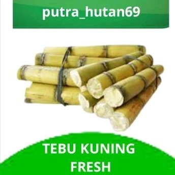 

TEBU KUNING 1KG