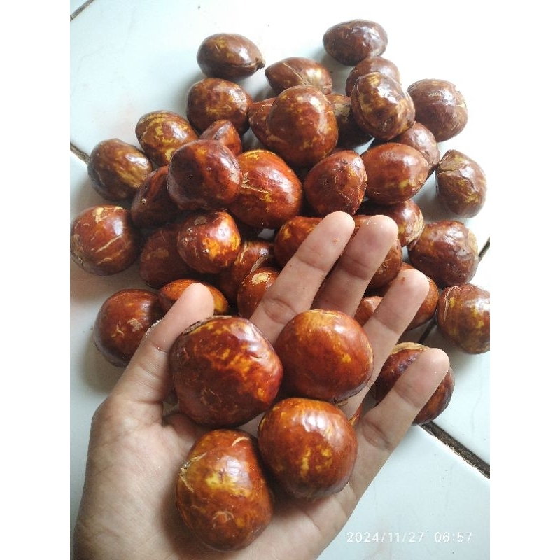 

Jengkol Full Soltiran Tua 1 kg Asli Pati