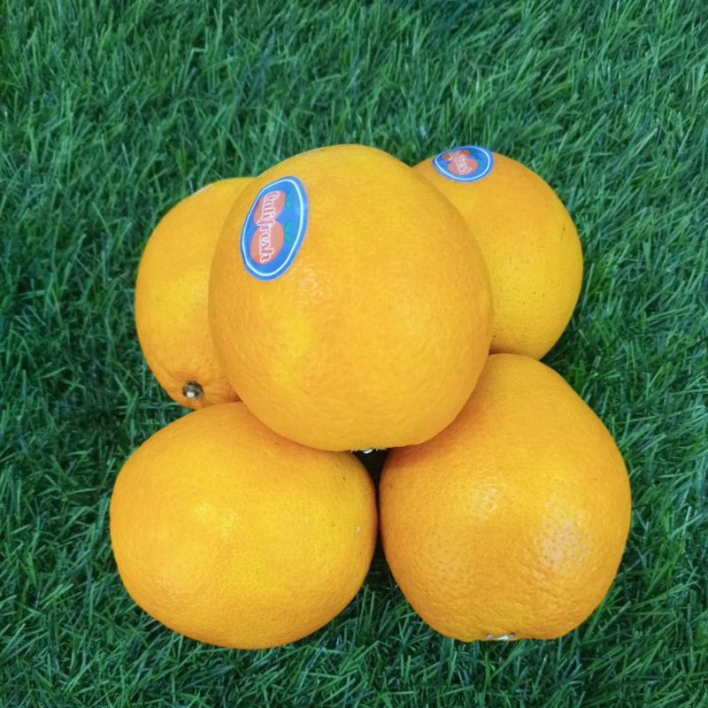 

Buah Jeruk Navel Segar 190 G Satuan