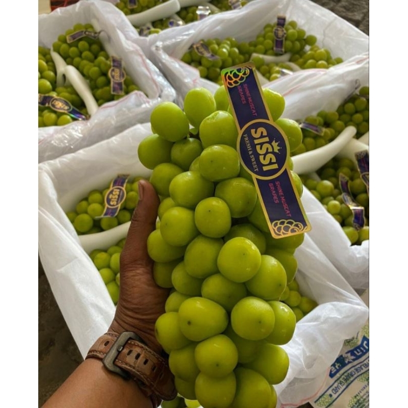 

BUAH ANGGUR MUSCAT