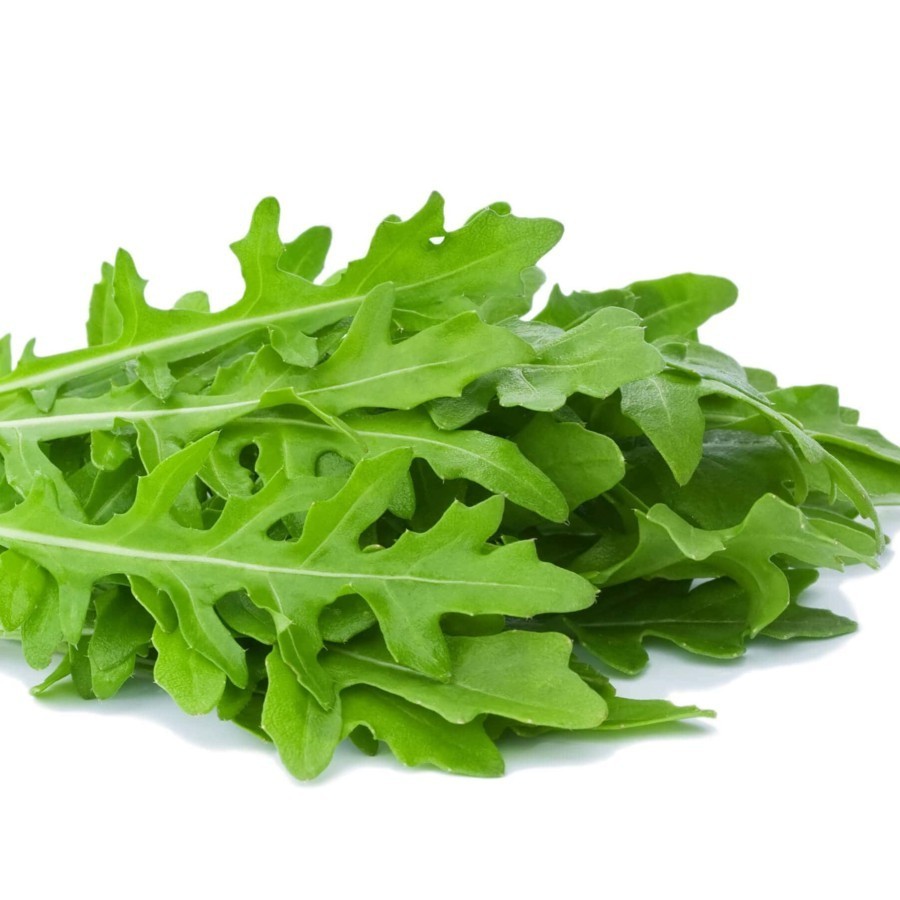Benih Bibit Arugula Unggul - Panda Farm