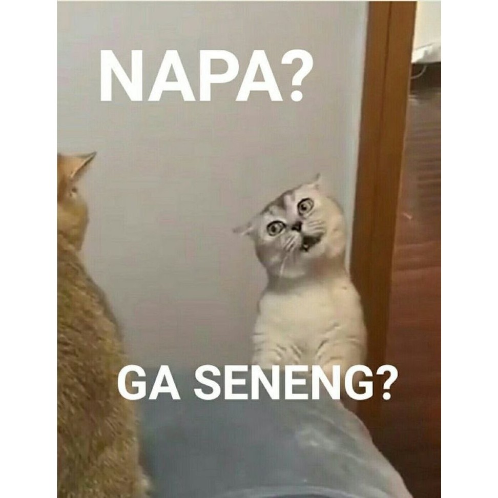 RCTI OK | RCTI+ | RCTI PREMIUM JOSSS ANTI LIMIT