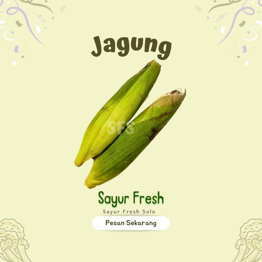 

Jagung - Sayur Fresh Solo