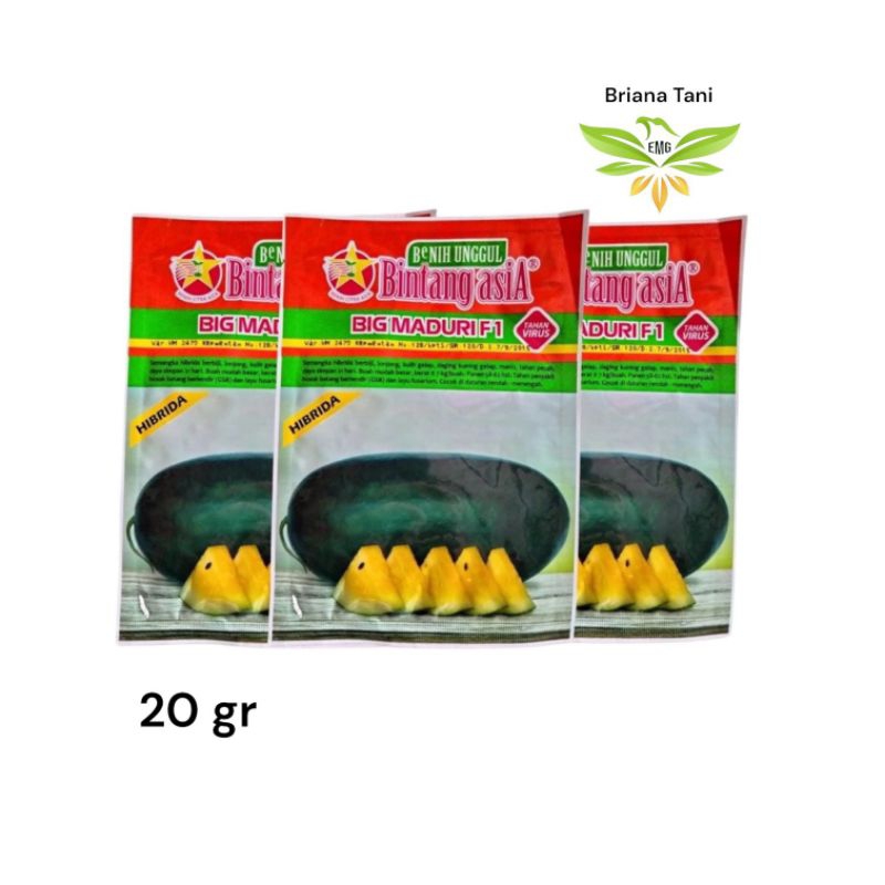 ￼Big Maduri 20gr Benih Semangka Kuning Bintang Asia Maduri