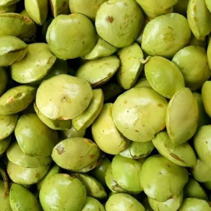 

JENGKOL MUDA BELUM KUPAS 1 KG