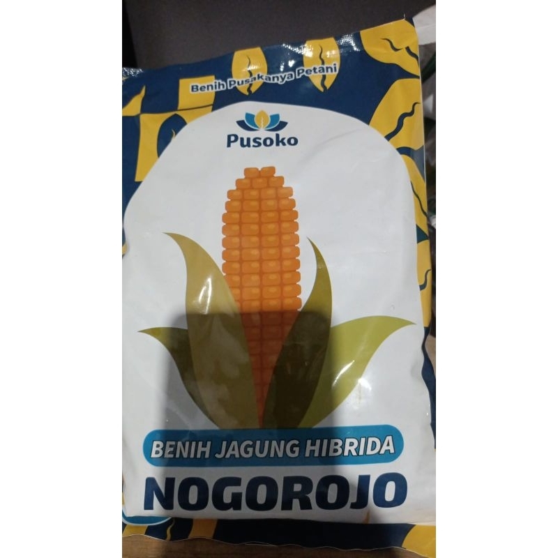 

Pusoko Benih Jagung Hibrida Nogorojo