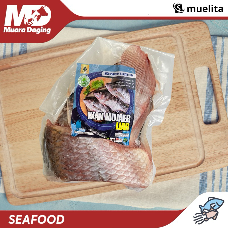 

PURE ORGANIC Ikan Mujair Liar 500gr - TANGKAPAN RAWA!! HIGIENIS