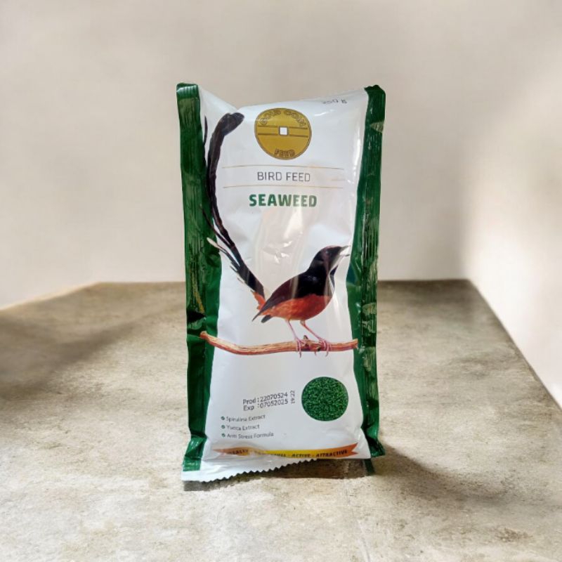 Gold coin hijau seaweed