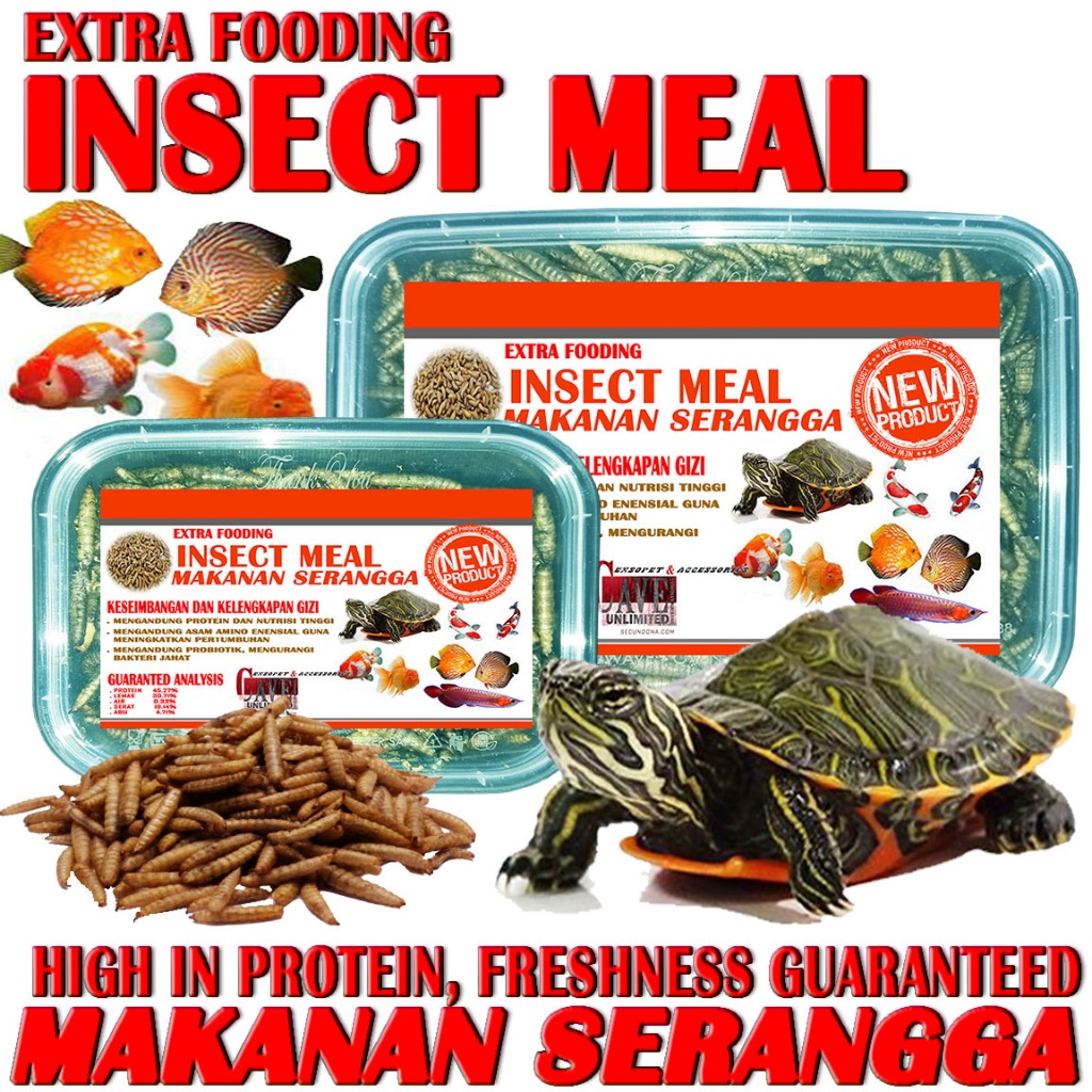 130GR INSECT MEAL MAKANAN IKAN LOUHAN CHANA ARWANA MAS KOKI PAKAN KURA-KURA AIR BRAZIL CST AST RES M