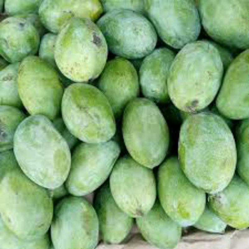 

Mangga Manalagi