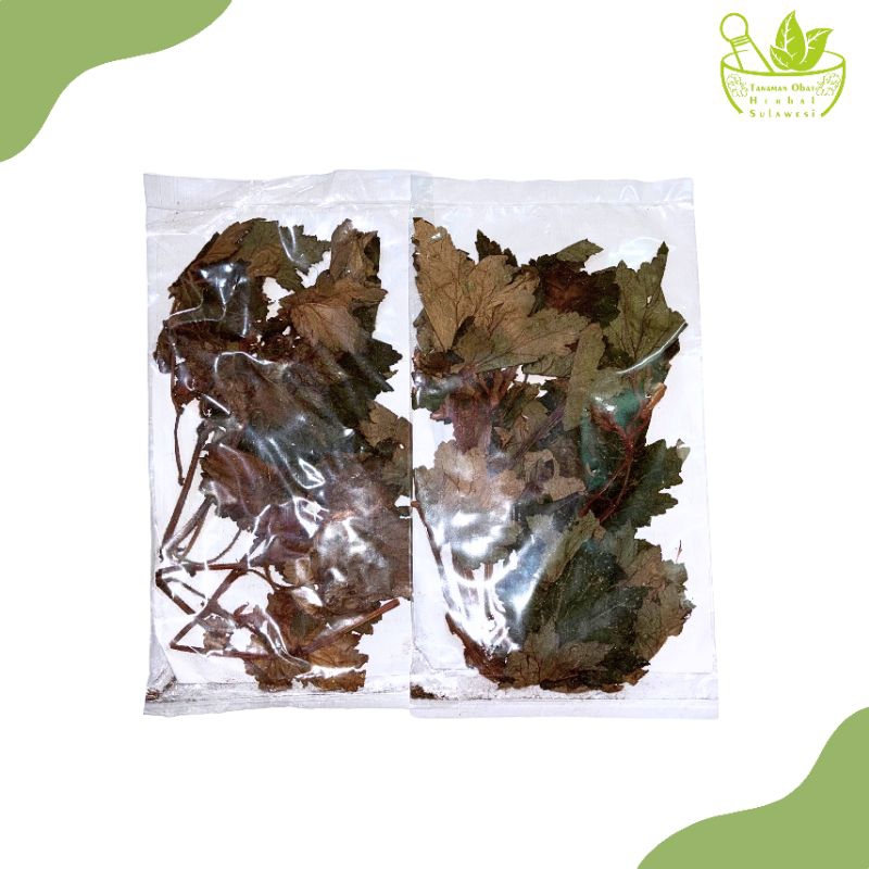 

Benalu Batu Kering (10 Gram)