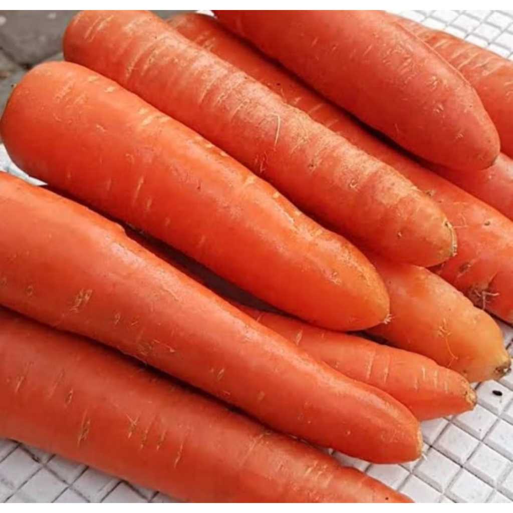 

wortel 500g-1kg segar murah dan dikirim langsung petani