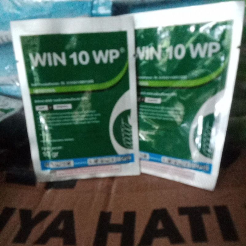 win 10wp 10gr