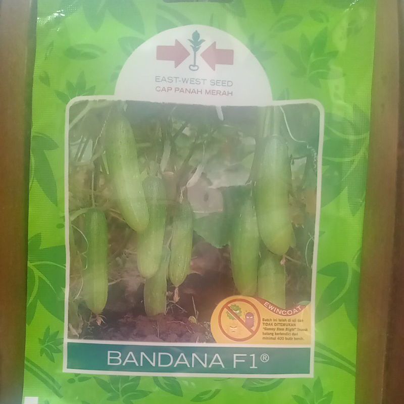 Benih timun  Bandana F1