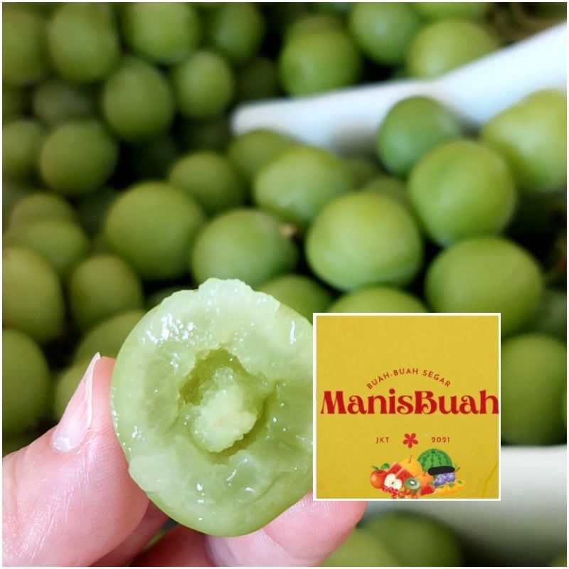 

anggur muscat jepang buah fresh per dus