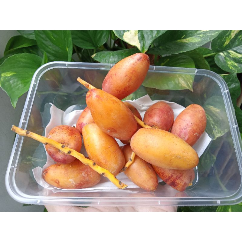 

Kurma Muda 250g