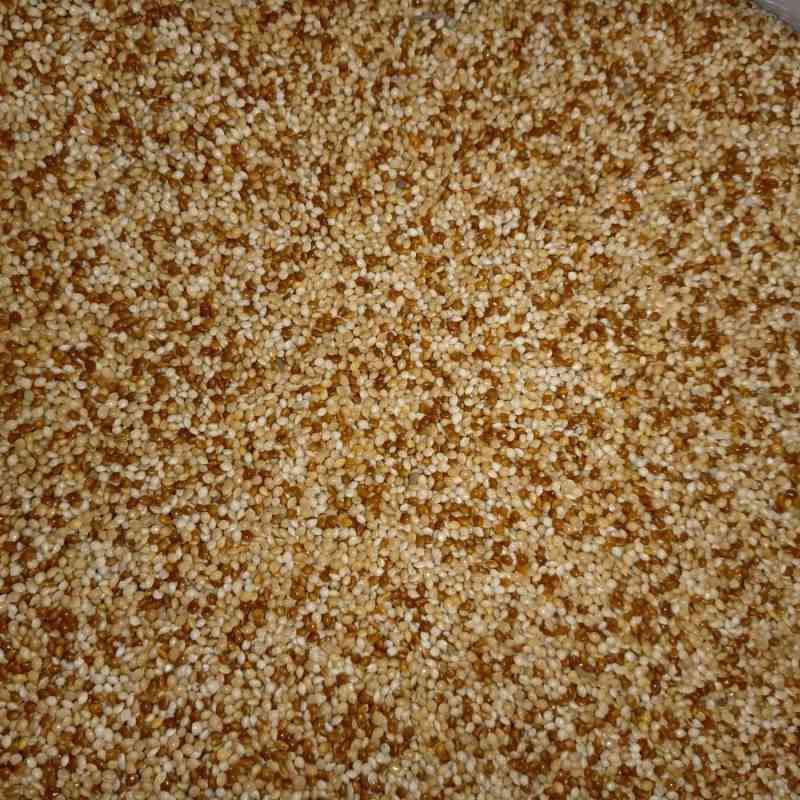 Milet Campur Milet Putih Milet Merah Pakan Burung Kenari Love Bird