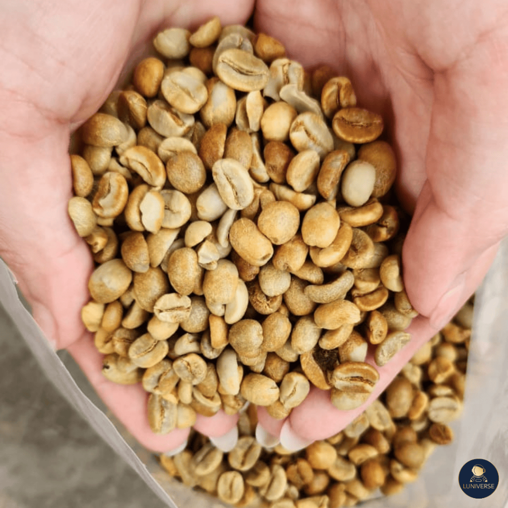 

Green Bean Yellow Caturra 1KG - Luniverse