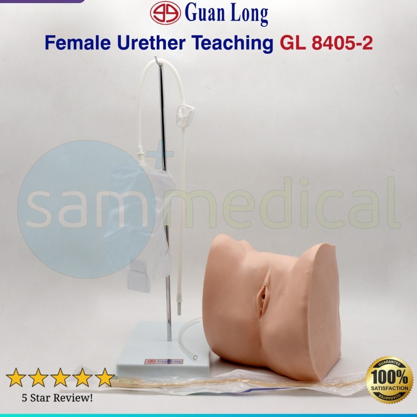 Guan Long Alat Peraga Female Urether Teaching GL 8405 / Manikin Pemasangan Kateter Ureter Wanita