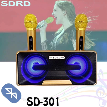 SPEAKER SDRD 301 / 302 BLUETOOTH + 2 MIC WIRELESS SDRD
