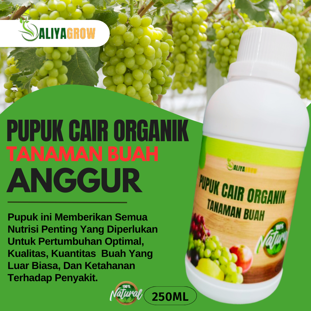 pupuk buah anggur/pupuk buah anggur agar cepat berbuah/pupuk booster anggur/pupuk organik anggur