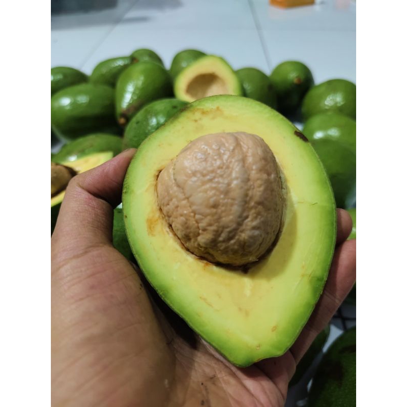 

ALPUKAT MENTEGA SUPER PREMIUM 1KG