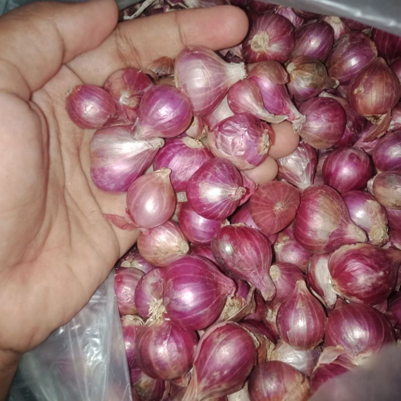 

BAWANG MERAH KECIL 500g