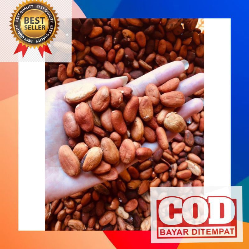 

Biji Kakao Super Kering 250g Sudah Di sortir