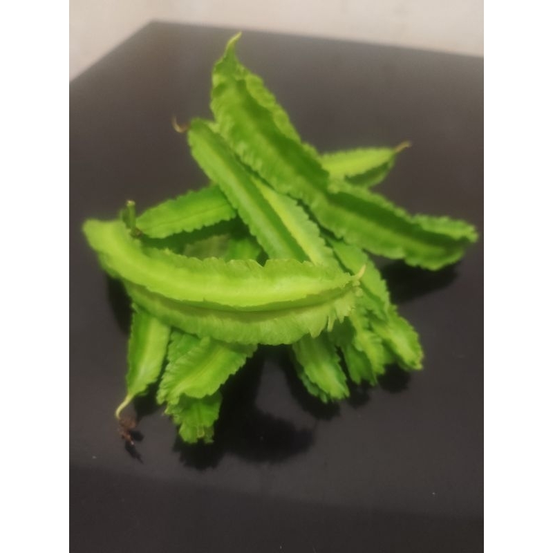 

Kecipir fresh 1 Ton