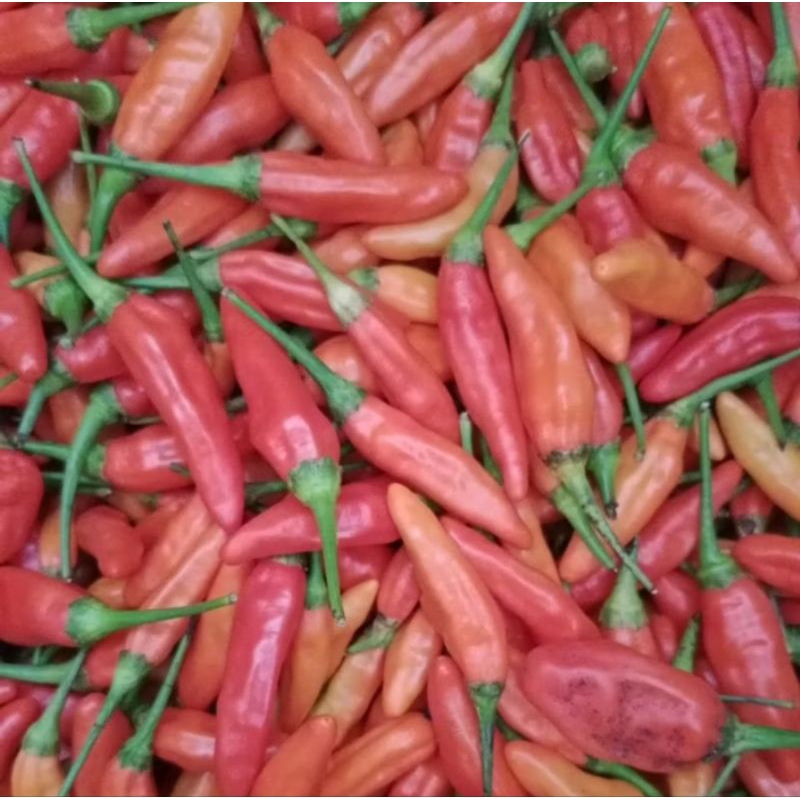 

cabe rawit merah 100 gr