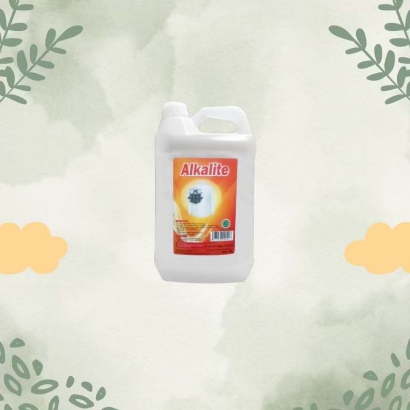 Alkalite Penghilang Noda Berat 5 L