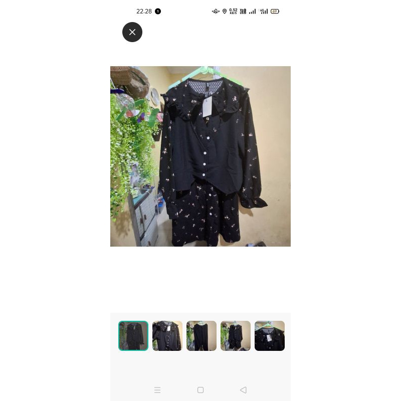 setcel miss Olla new