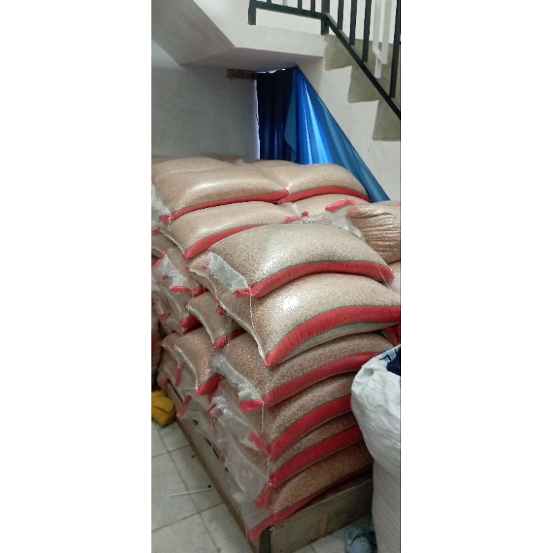 jagung kristal 25kg pakan merpati